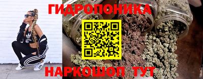 хмурый Кандалакша