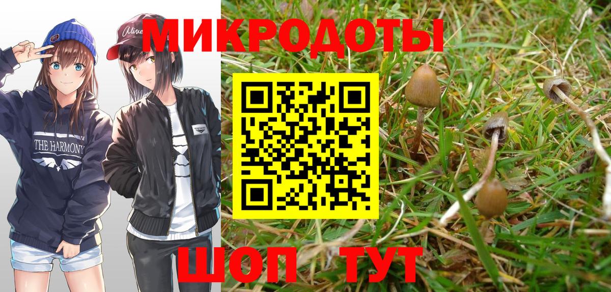 Галлюциногенные грибы мухоморы Куйбышев