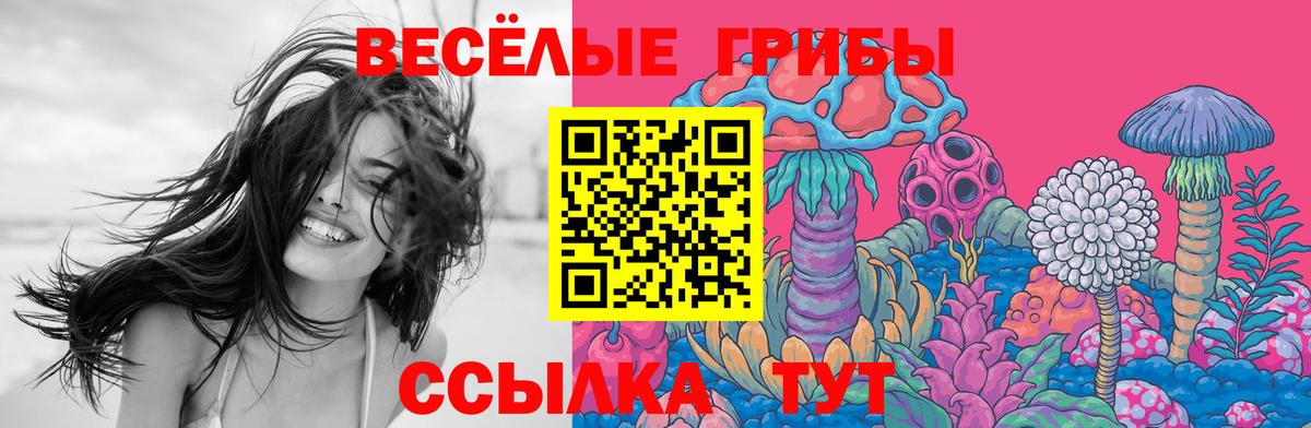 Галлюциногенные грибы MAGIC MUSHROOMS  Галлюциногенные грибы прущие грибы  Куйбышев  Вход с VPN 